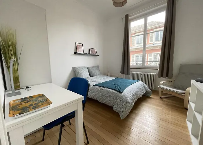 Ubytování v soukromí Privees -private Room- Dans Un Spacieux - 100m2 Centre Proche Gare *