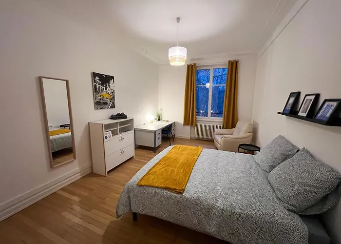 Privees -private Room- Dans Un Spacieux - 100m2 Centre Proche Gare Homestay Mulhouse